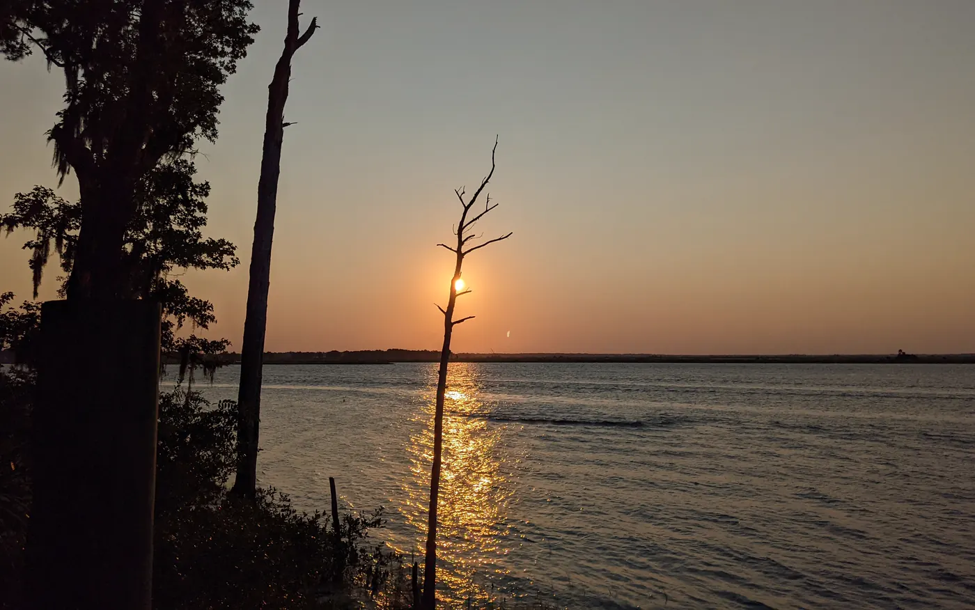 Sunset over the Ogeechee River and salt marsh at Fort McAllister State Park, with silhouetted pines